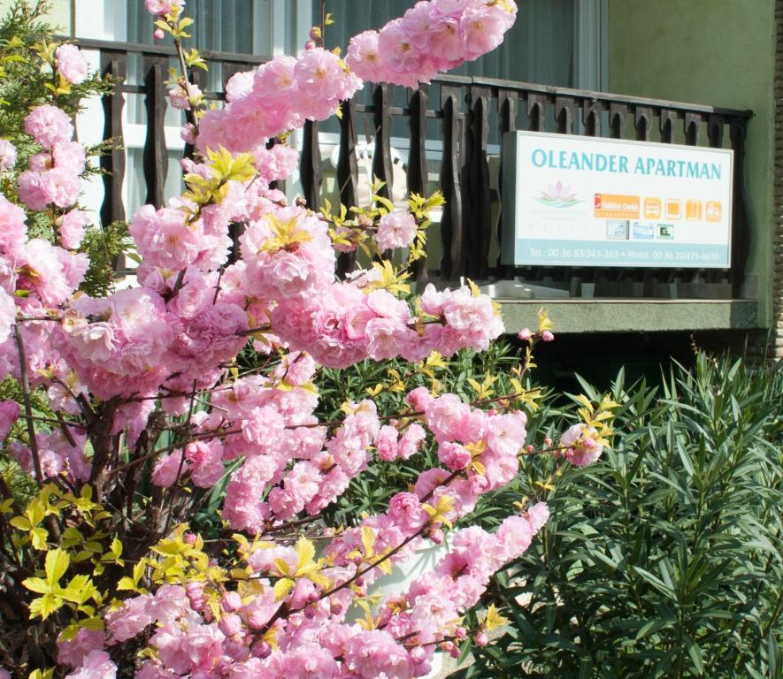Oleander Apartman Heviz Luaran gambar
