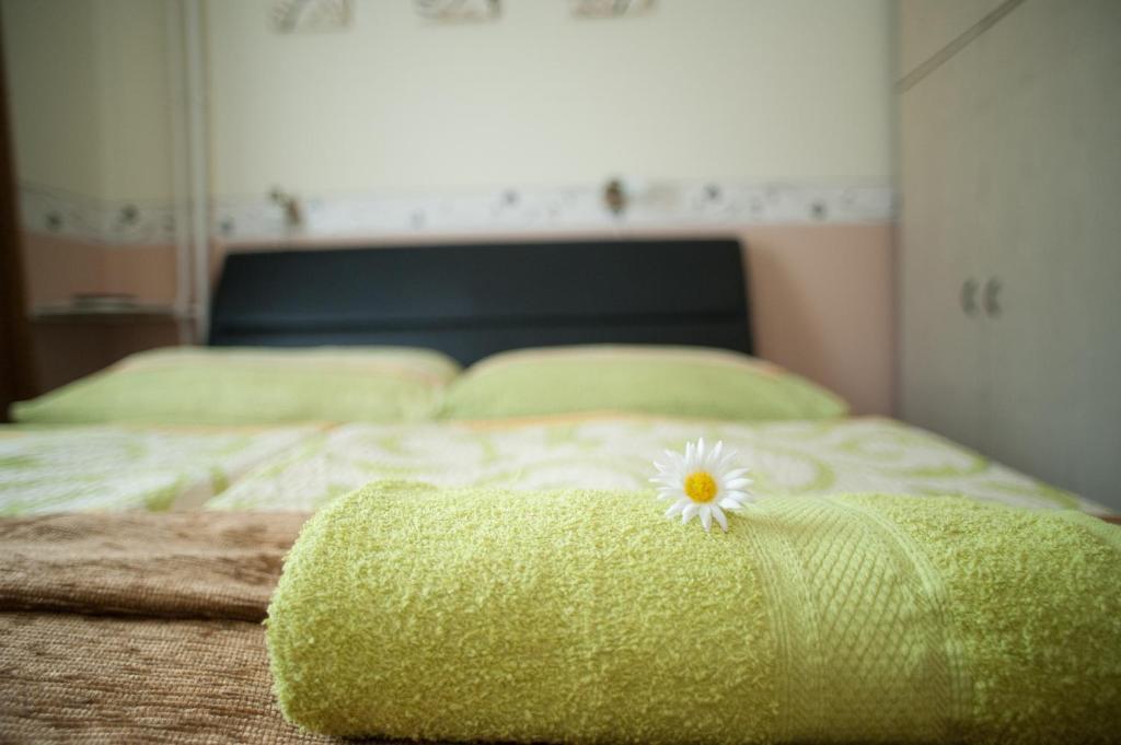 Oleander Apartman Heviz Luaran gambar